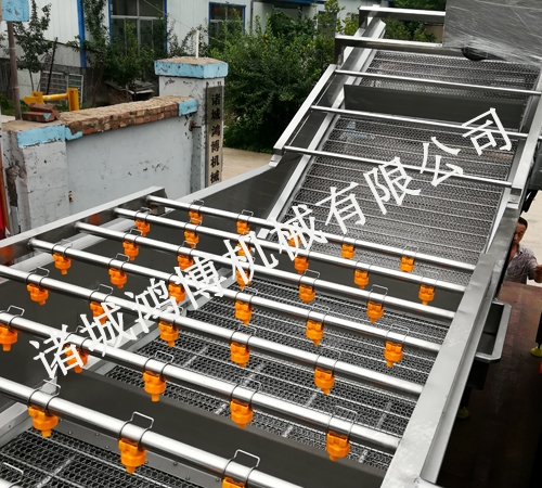 人參清洗機