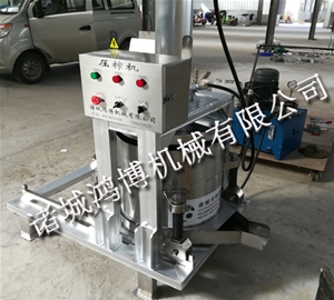 商用全自動液壓壓榨機(jī)